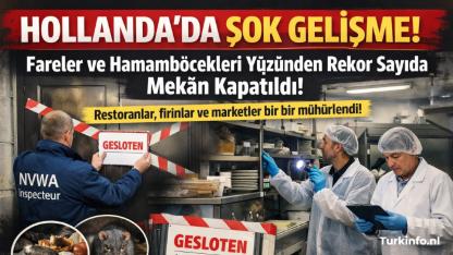 Hollanda'da Şok Eden Gelişme: Fareler ve Hamamböcekleri Yüzünden Rekor Sayıda Mekân Kapatıldı!