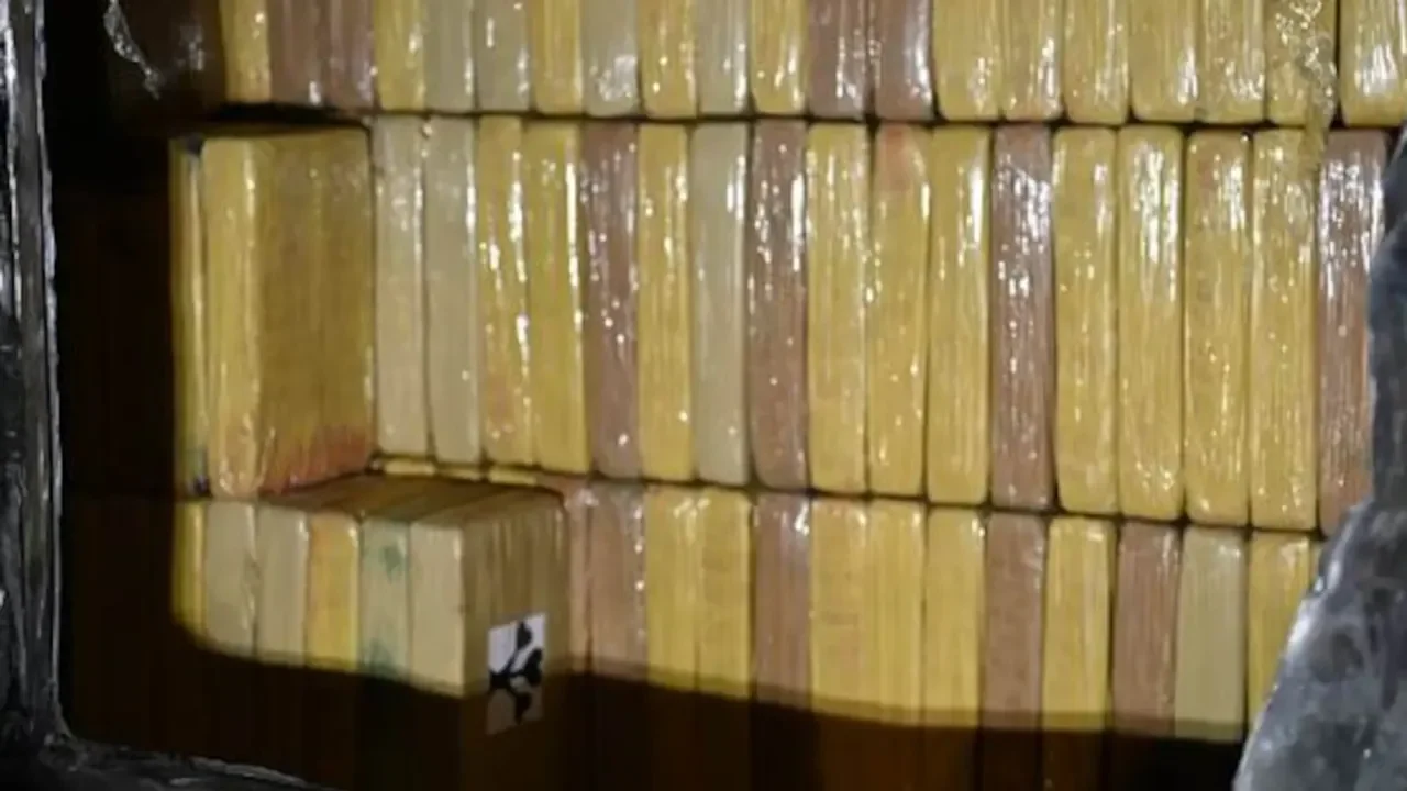 Hollanda Moerdijk’te 5 Ton Kokain Yakalandı: Tarihi Operasyon