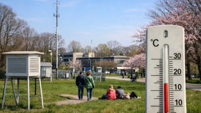 Hollanda’da 2026’nın İlk Bahar Günü Şubat Ayında Kaydedildi