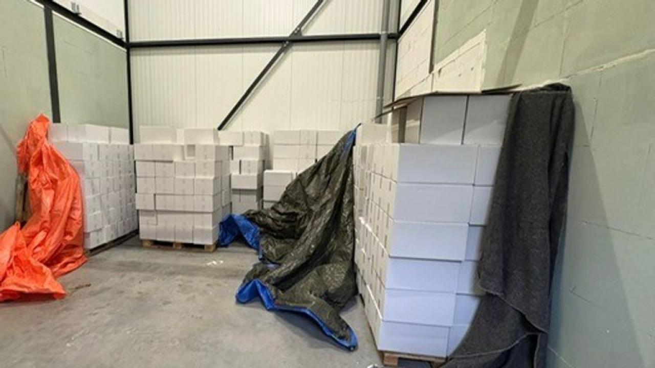 Hollanda’da haftalar içinde 12,5 milyon kaçak sigara ele geçirildi