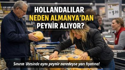 Hollandalılar neden peynir için sınırı geçiyor? Almanya’da peynir neden daha ucuz?