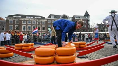Hollanda Alkmaar Peynir Pazarı Binlerce Ziyaretçiyi Ağırladı