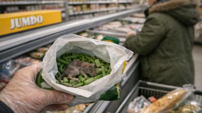 Hollanda’da Dondurulmuş Fasulyelerde Fare Çıktı: Jumbo Fasulyeleri Toplatıyor