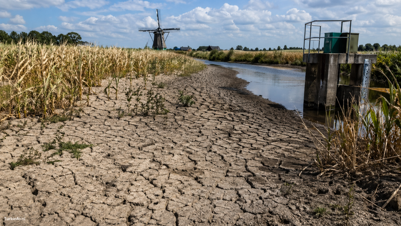 Hollanda’da Kuraklık Alarmı: Su Krizi Derinleşiyor