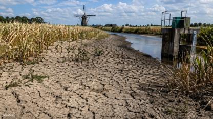 Hollanda’da Kuraklık Alarmı: Su Krizi Derinleşiyor