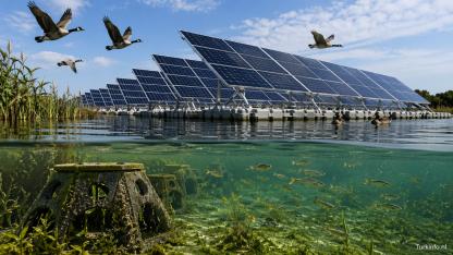Yüzer Güneş Enerji Santralleri Doğal Yaşama Katkı Sağlıyor