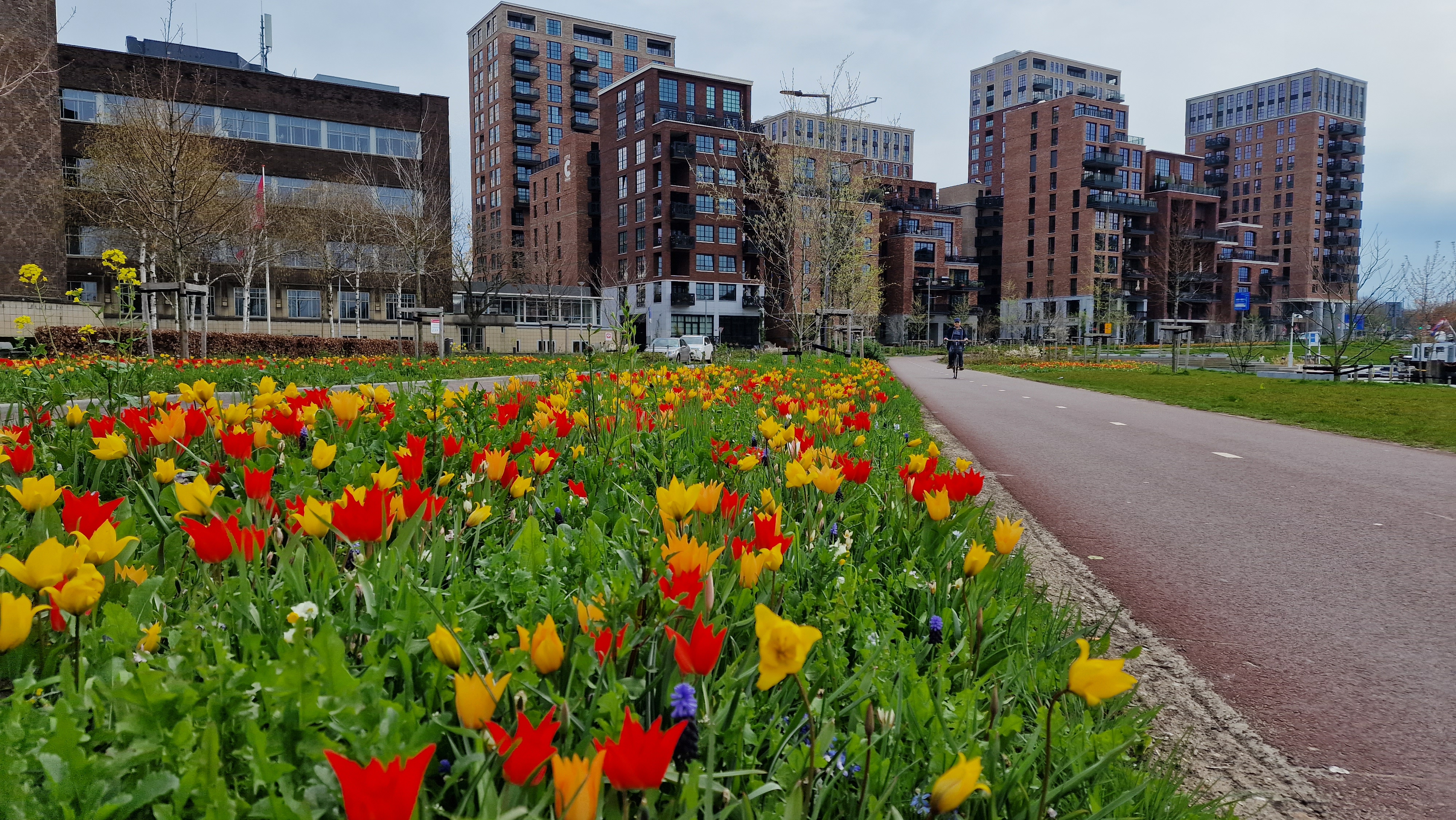 Hollanda’da Yaşam Maliyeti Rekor Kırdı: En Pahalı Şehirler Açıklandı